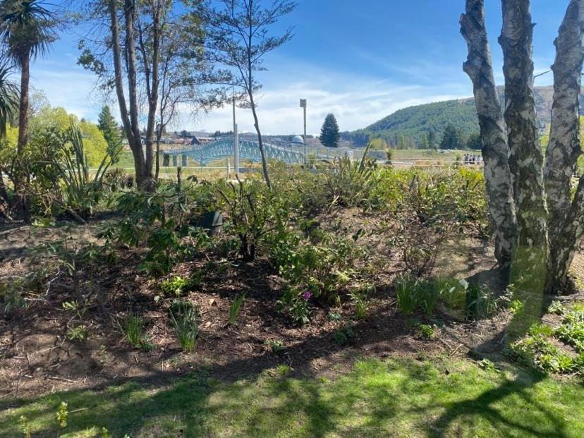Garden Cottage - Lake Tekapo Ngoại thất bức ảnh
